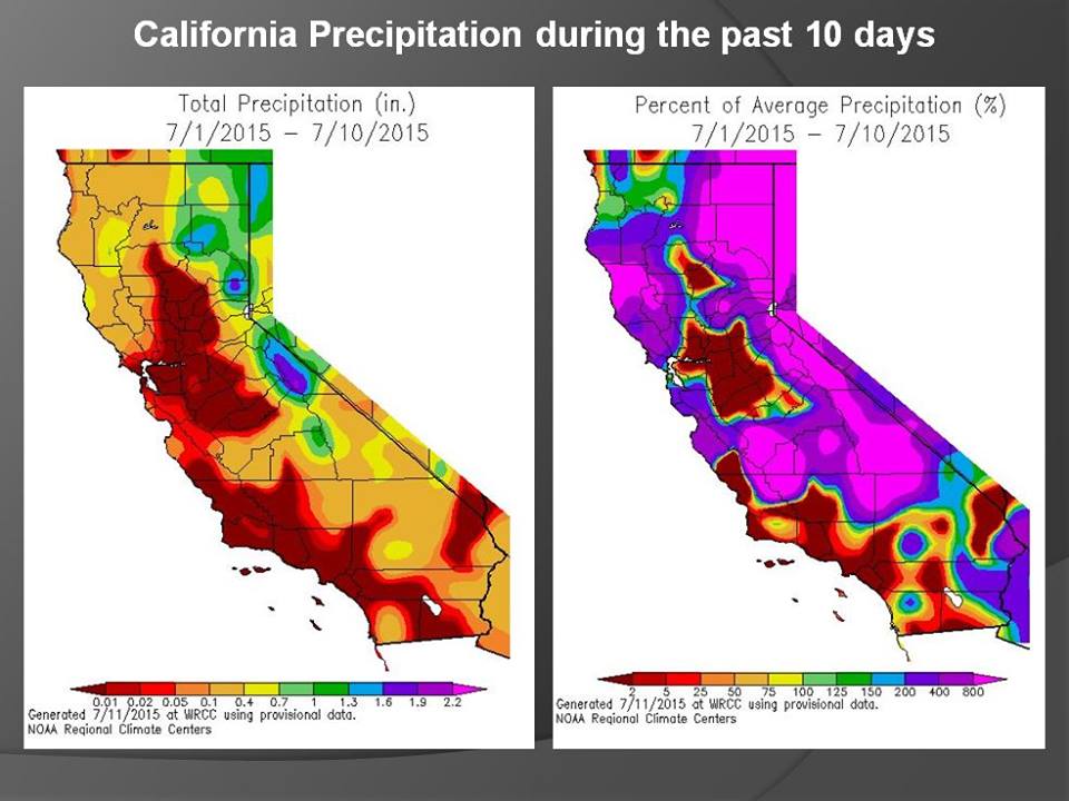 precipitation totals map