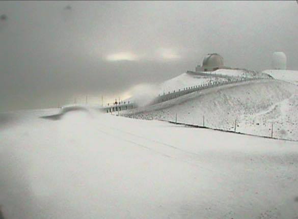 Snow on 13,800 Mauna Kea in Hawaii yesterday.