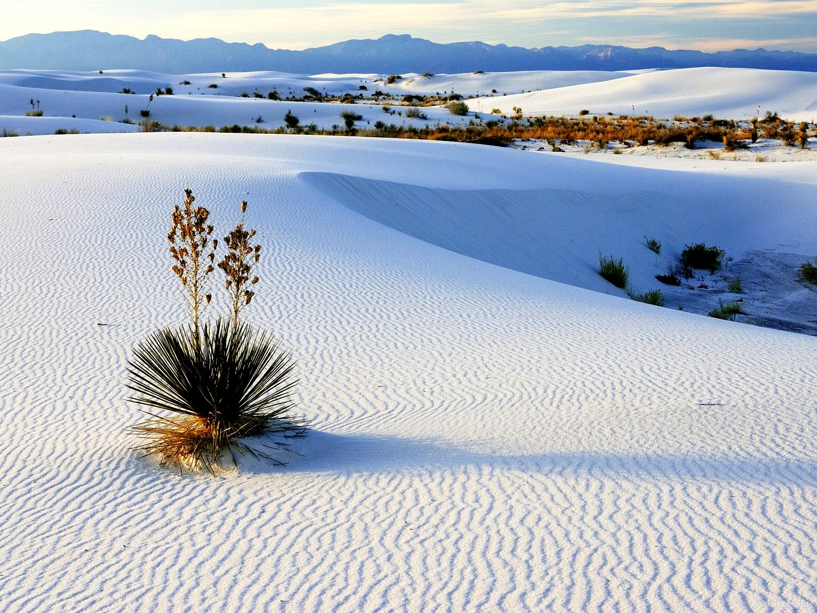 White Sands National Monument, New Mexico.