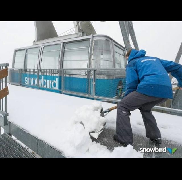 Snowbird, UT shoveling today!