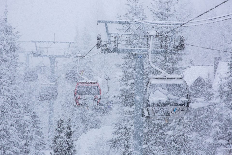 Whistler gondola on Jan. 17th, 2014. photo: mitch winton/coast mountain photography