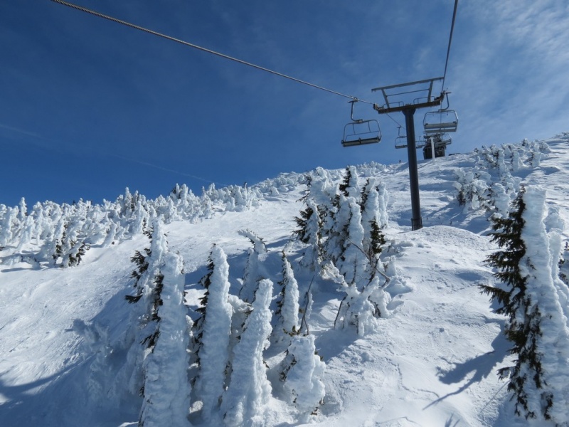 Male Skier Died in Tree Well at Mt. Bachelor, OR this Weekend Third