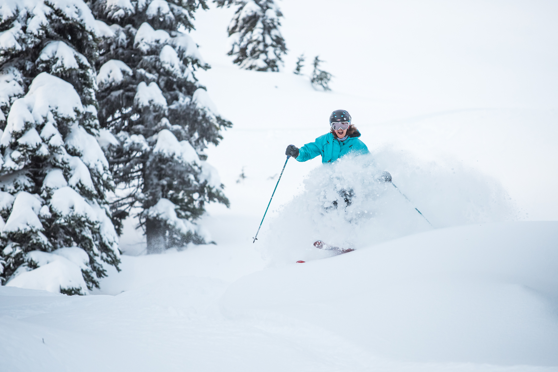 Whistler, B.C. Conditions Report: 320