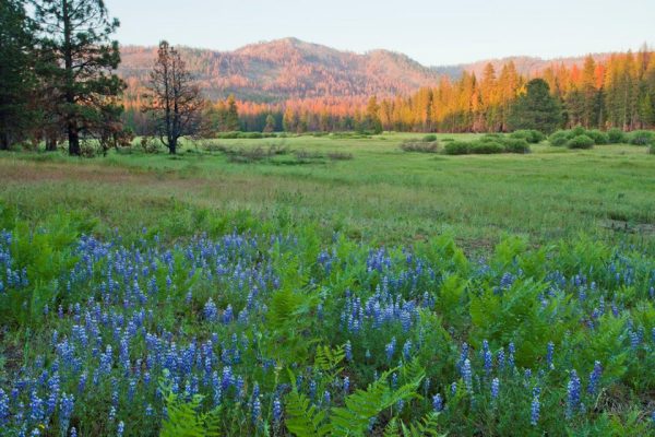 Yosemite National Park Ca Adds 400 Acres Largest Boundary Expansion