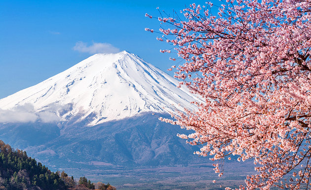 Body Found After Man Live Streams Plunge To His Death From Mount Fuji Japan Snowbrains