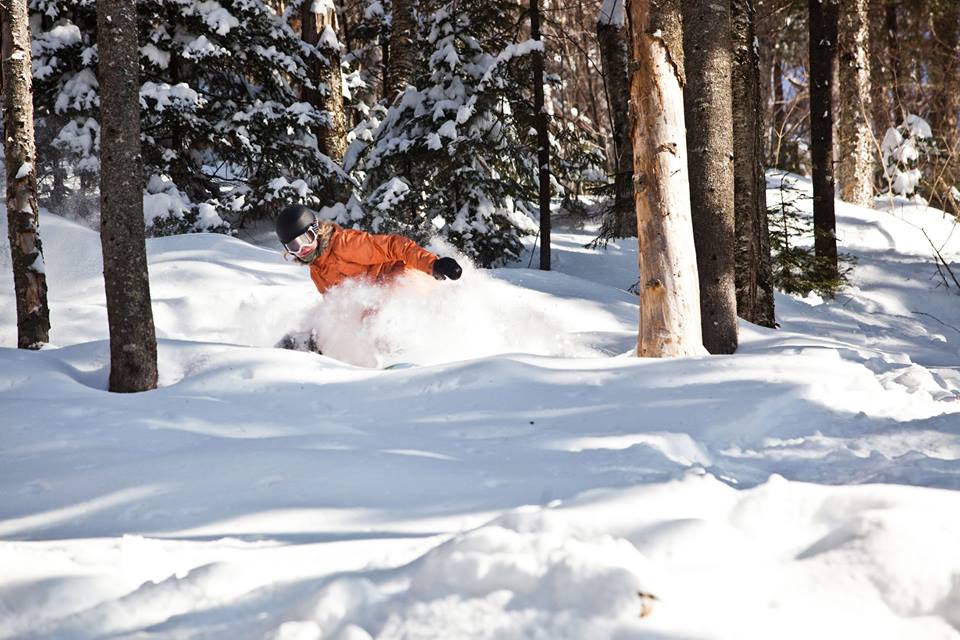 Tree skiing galore across the east