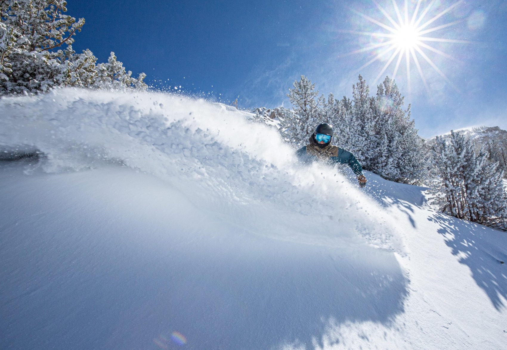 Powder at Mammoth