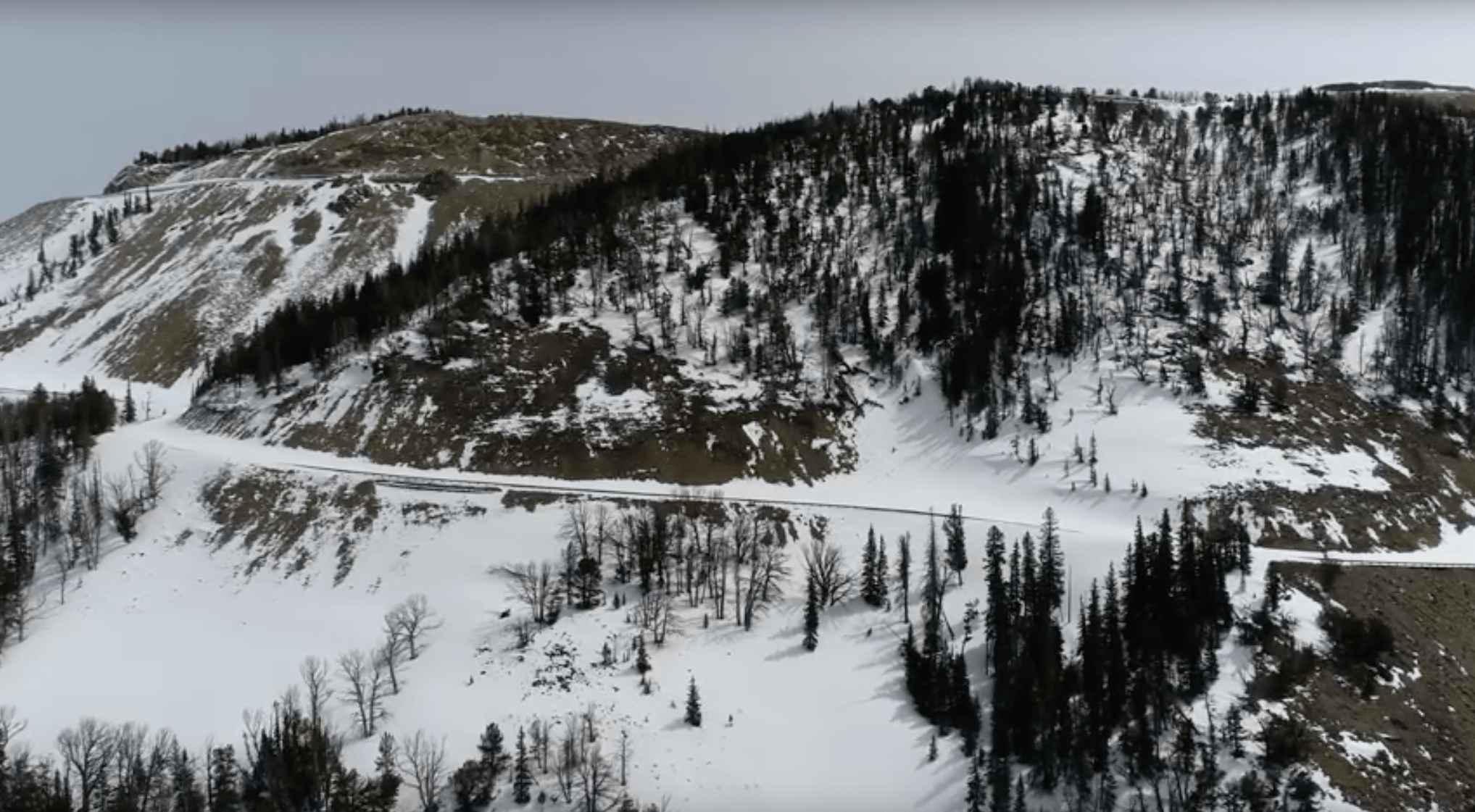 beartooth, Montana, drones