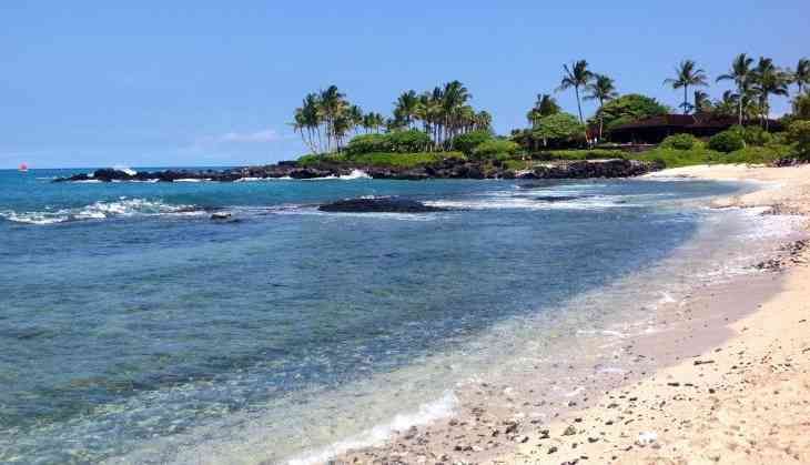 Kukio beach, hawaii, big island, shark attack, standup paddleboard