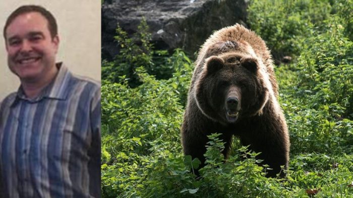 Bear Kills Hiker in Alaska and Injures Man Looking for Him | Bear Still ...