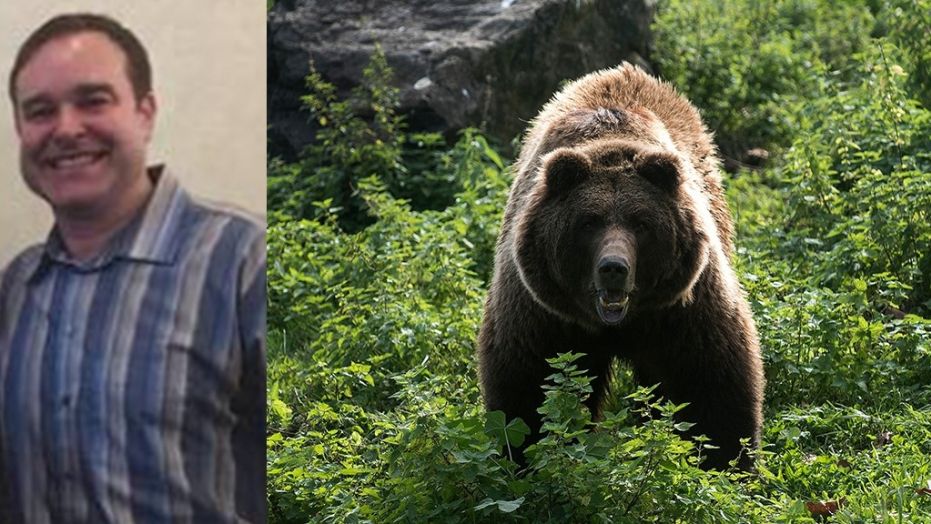 alaska, bear attack, man killed by bear