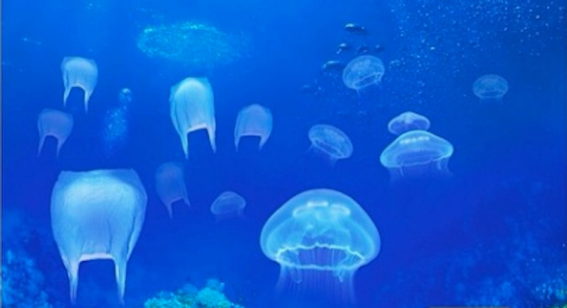 World Ocean, Microplastics