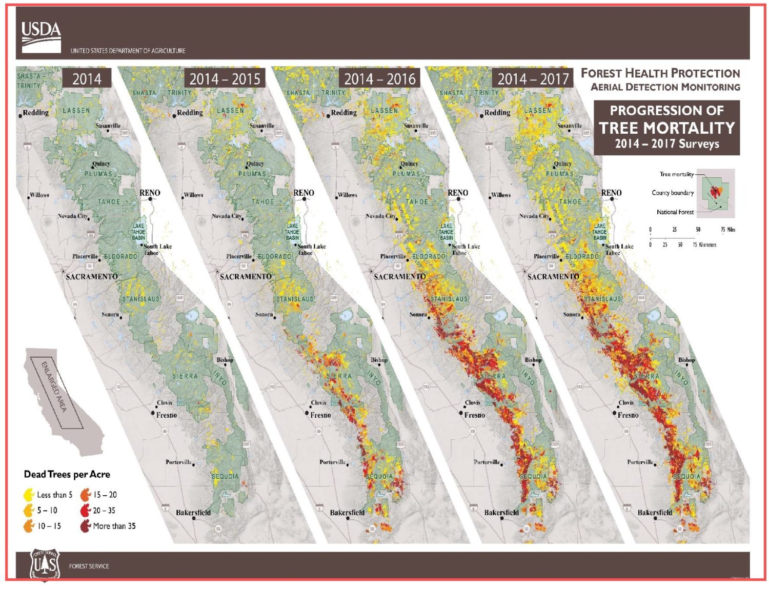 california, wildfire, beetle kill, drought