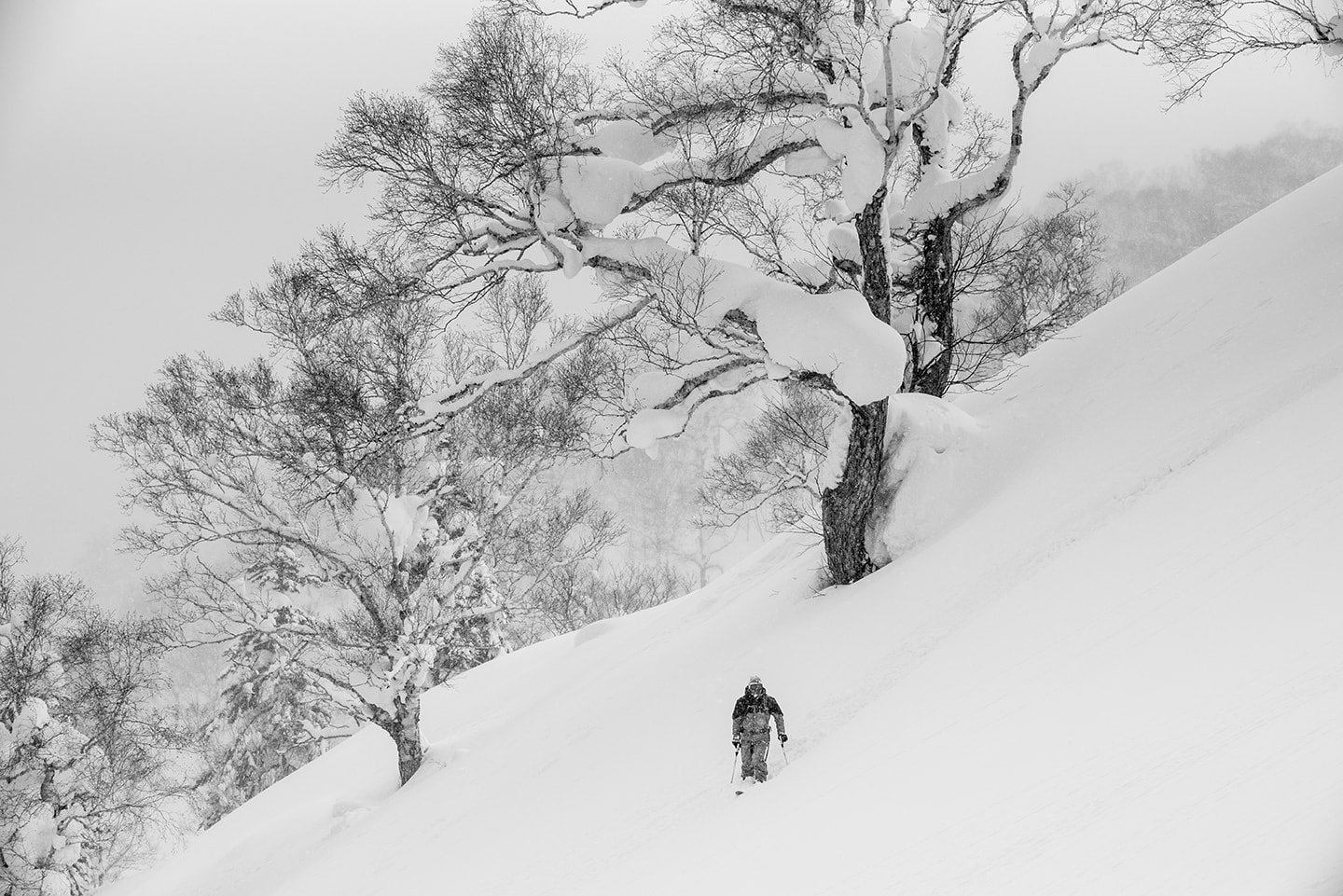 Hokkaido, snowlocals, Japan 