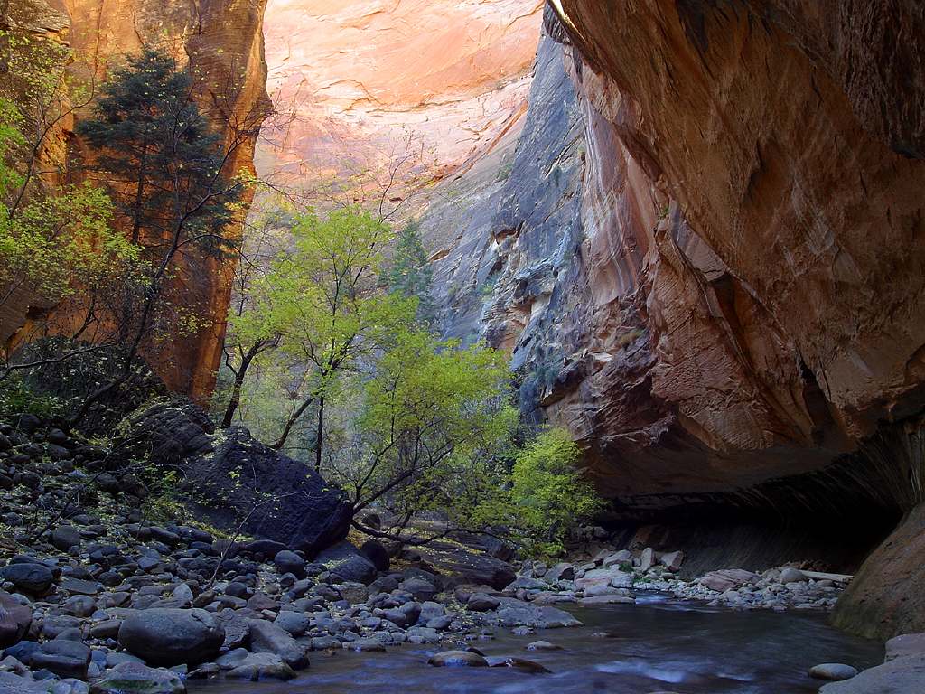 Zion national park, Zion, Utah, narrows