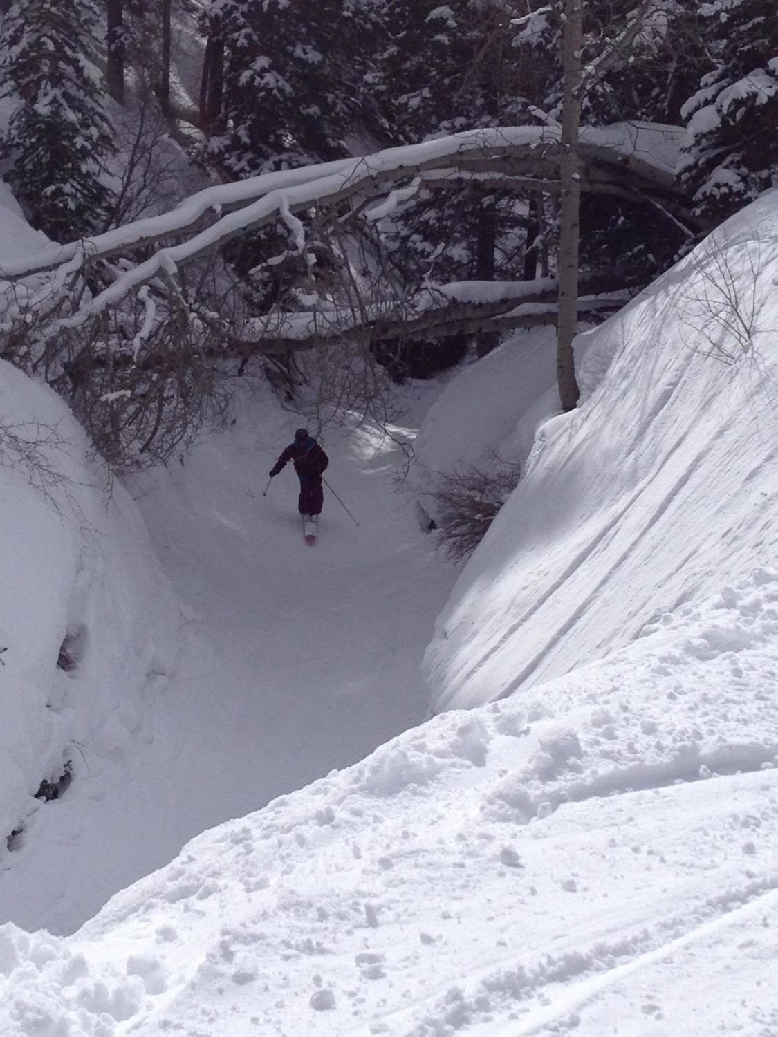 backcountry, ski, line