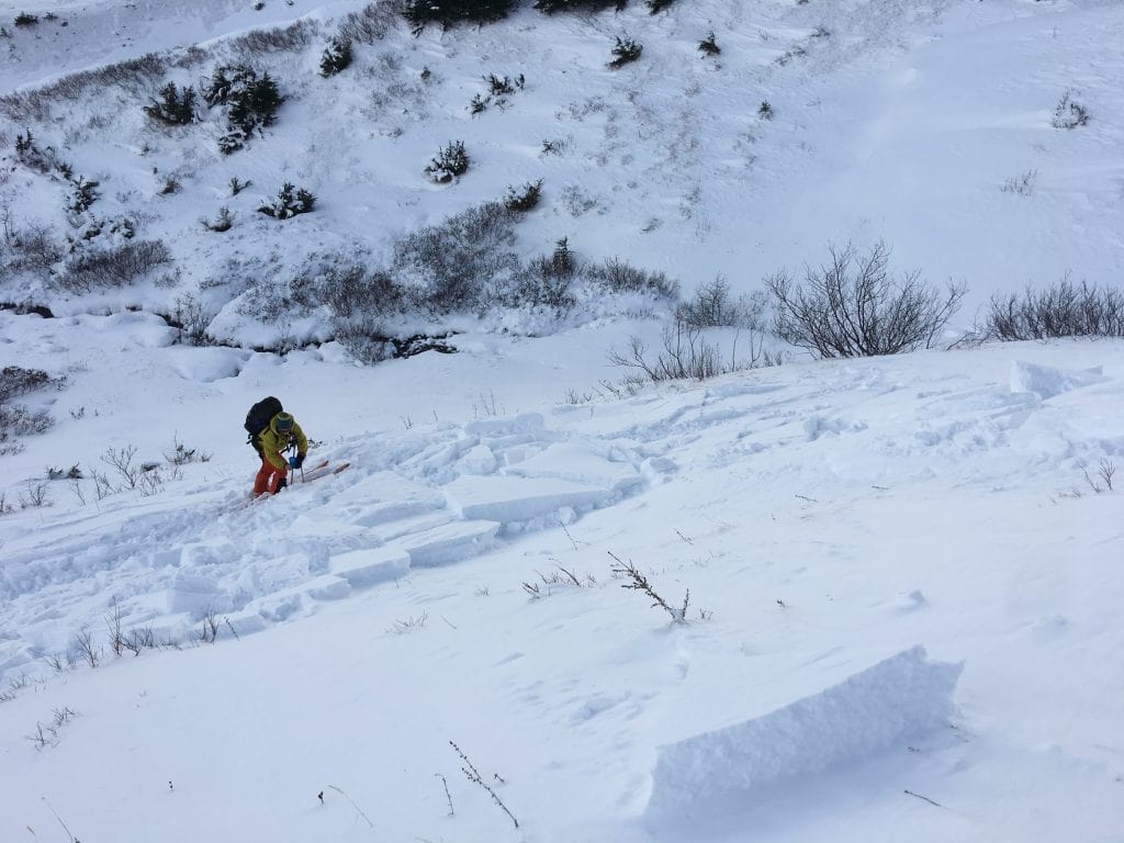 avalanche, alaska