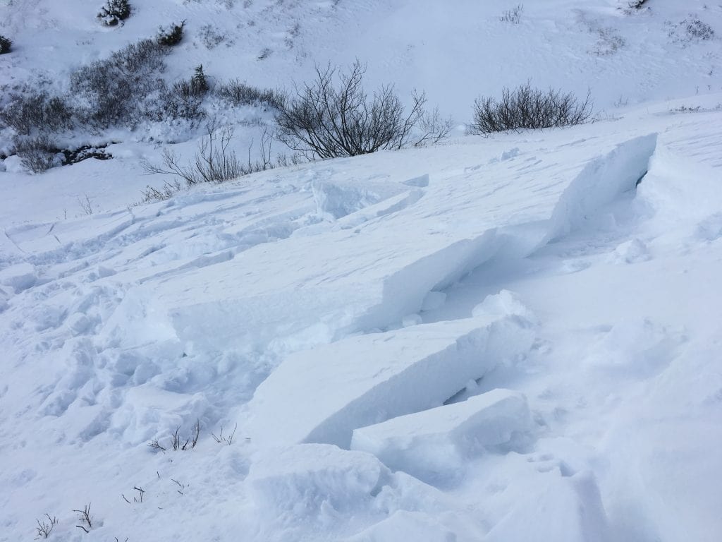 avalanche, alaska