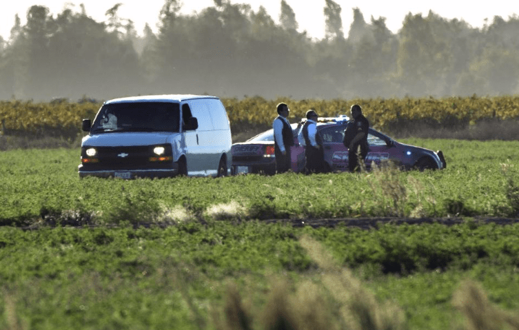 skydiving, lodi, California, death