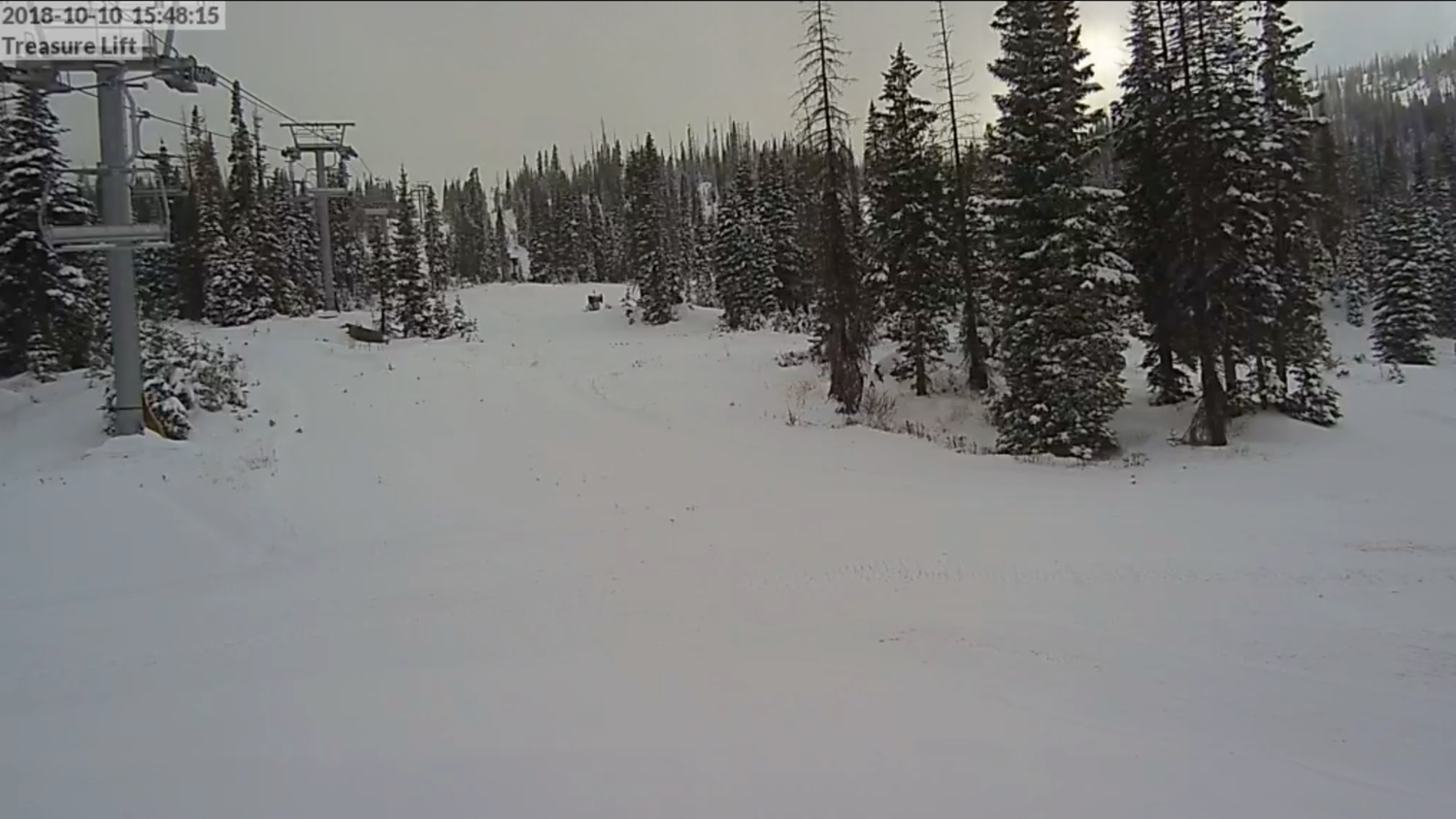 wolf creek ski cam