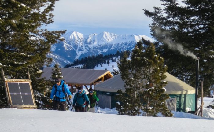 Sun Valley Backcountry, coyo