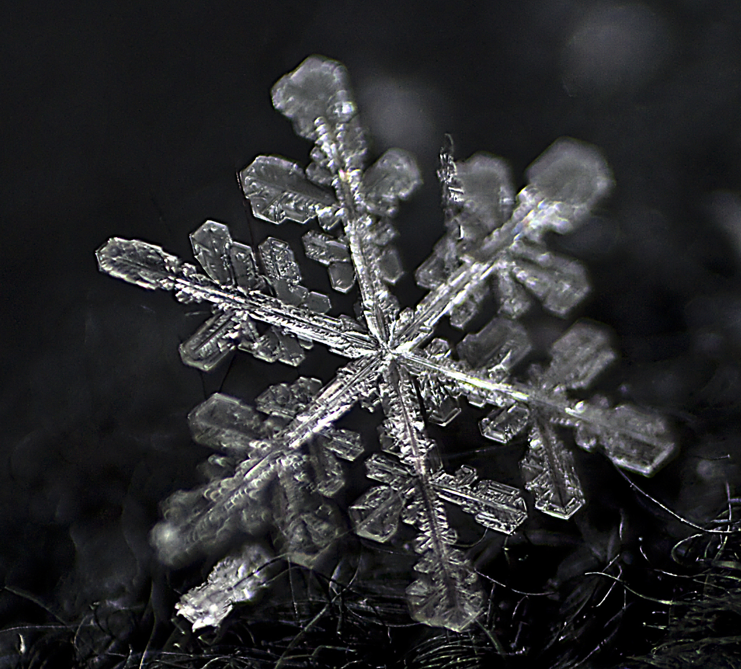 Did you know: Interesting facts about snowflakes