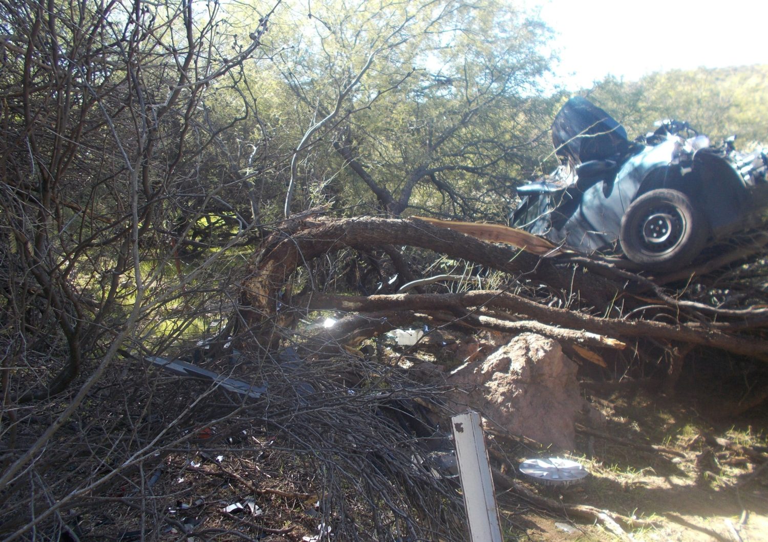 arizona, desert, woman survived 6 days