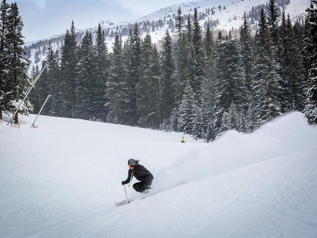 skibig3, canada, Banff, Norquay, sunshine, Lake Louise 