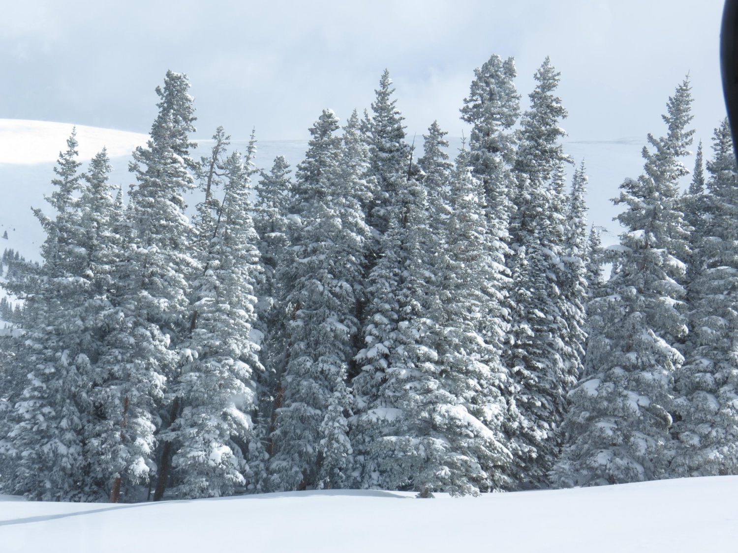 ski Cooper, colorado, early opening