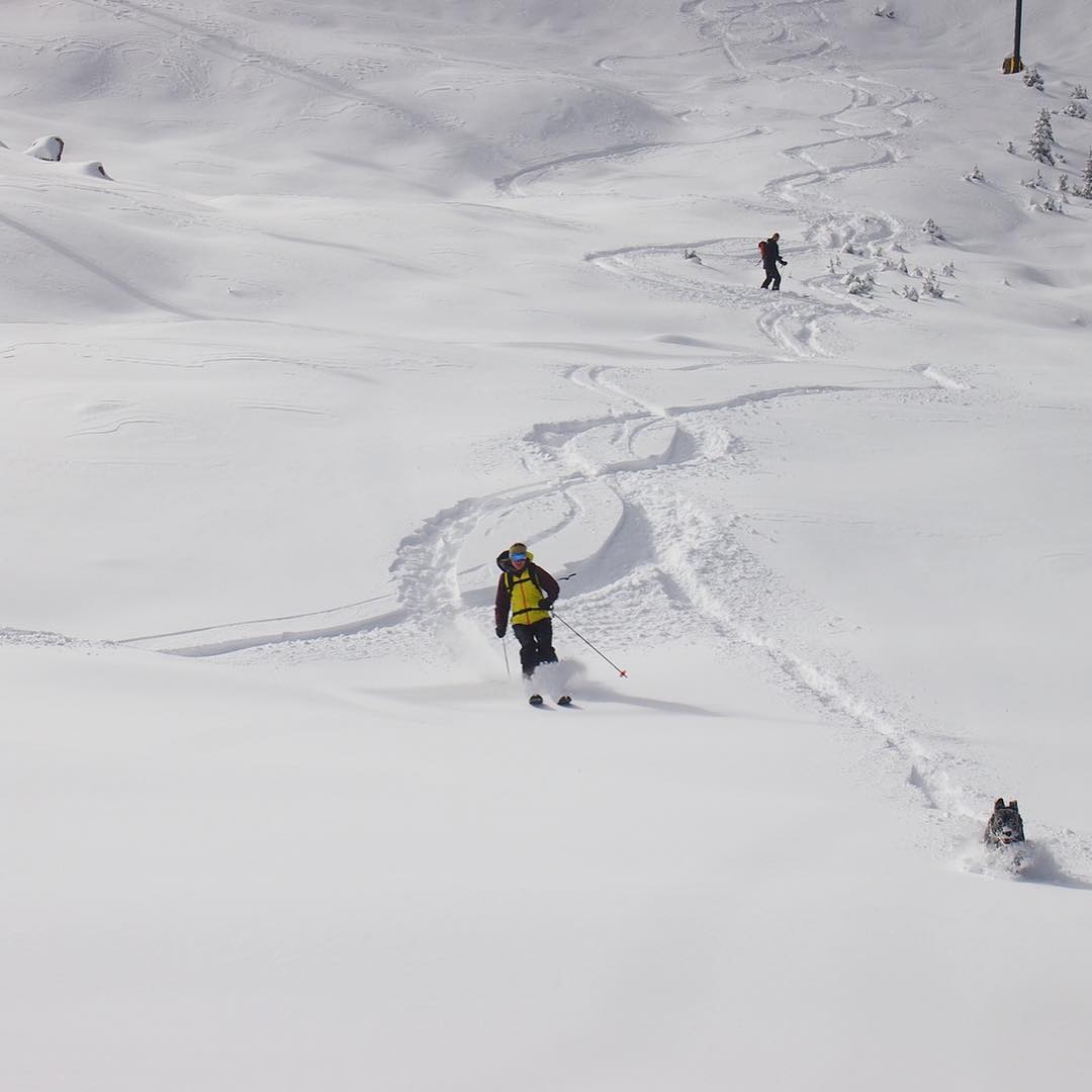 A-Basin and Loveland, Colorado Will Open New Terrain Today | Wolf Creek ...