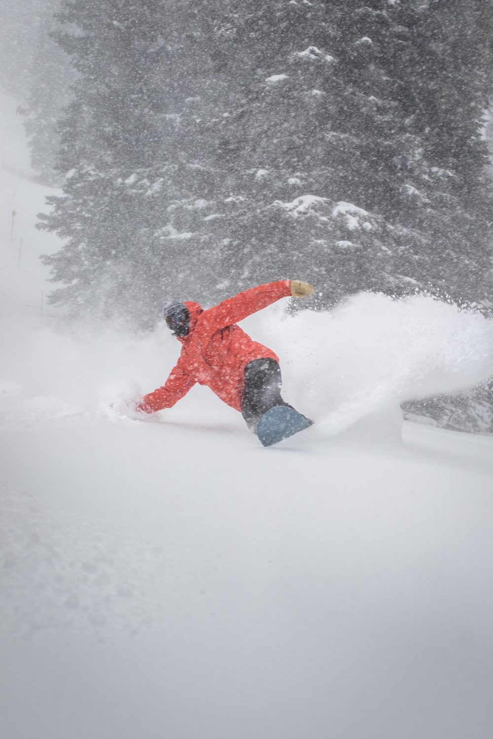 Snowbird, UT Conditions Report SuperStormy, BigFun Opening Day