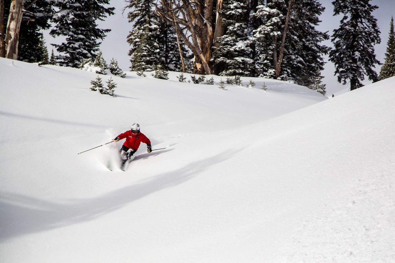 Jackson Hole, Wyoming