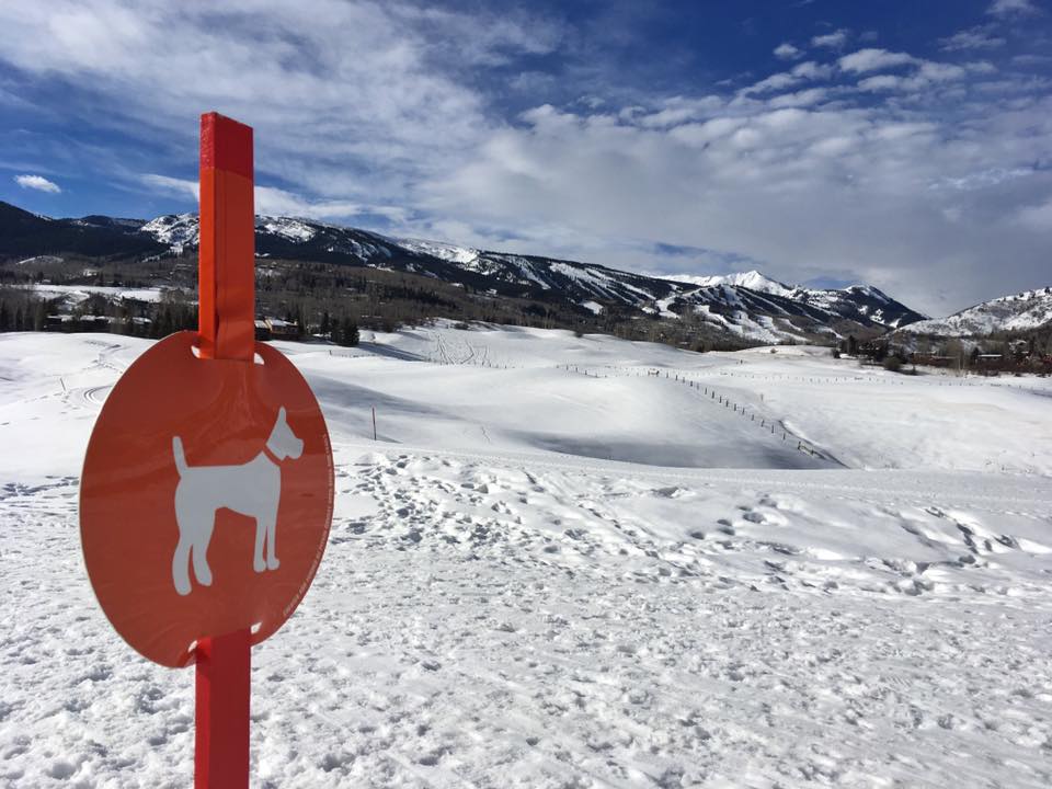 Sign with a picture of a dog - marks designated dog trail
