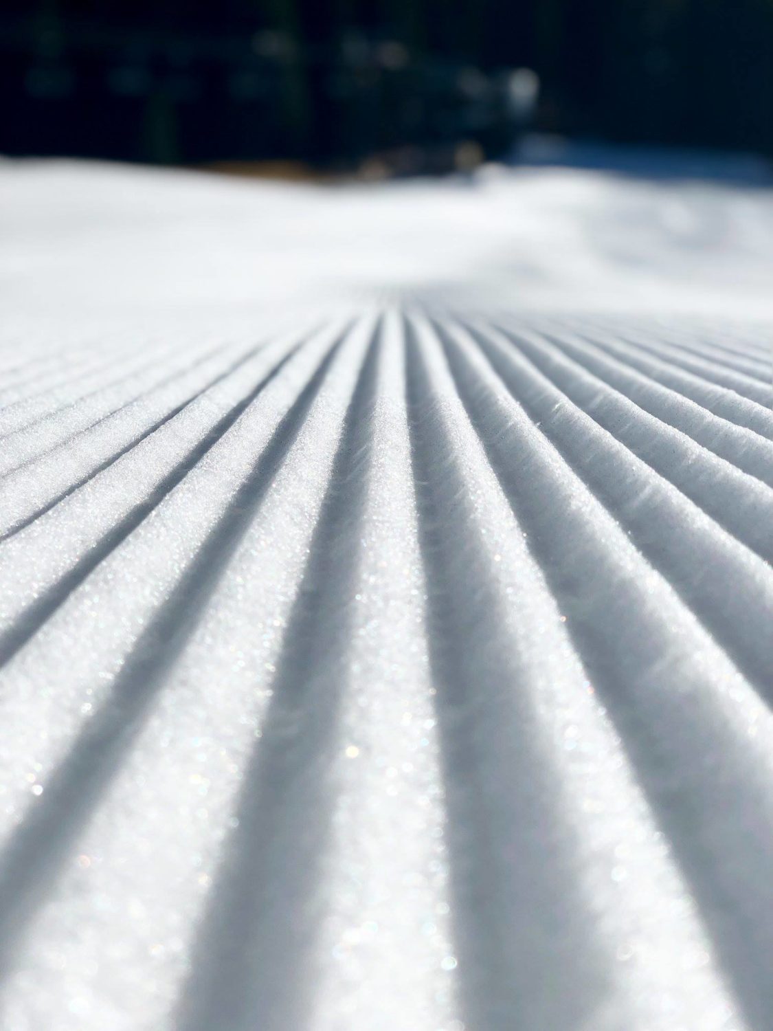 california, opening day, Squaw Valley