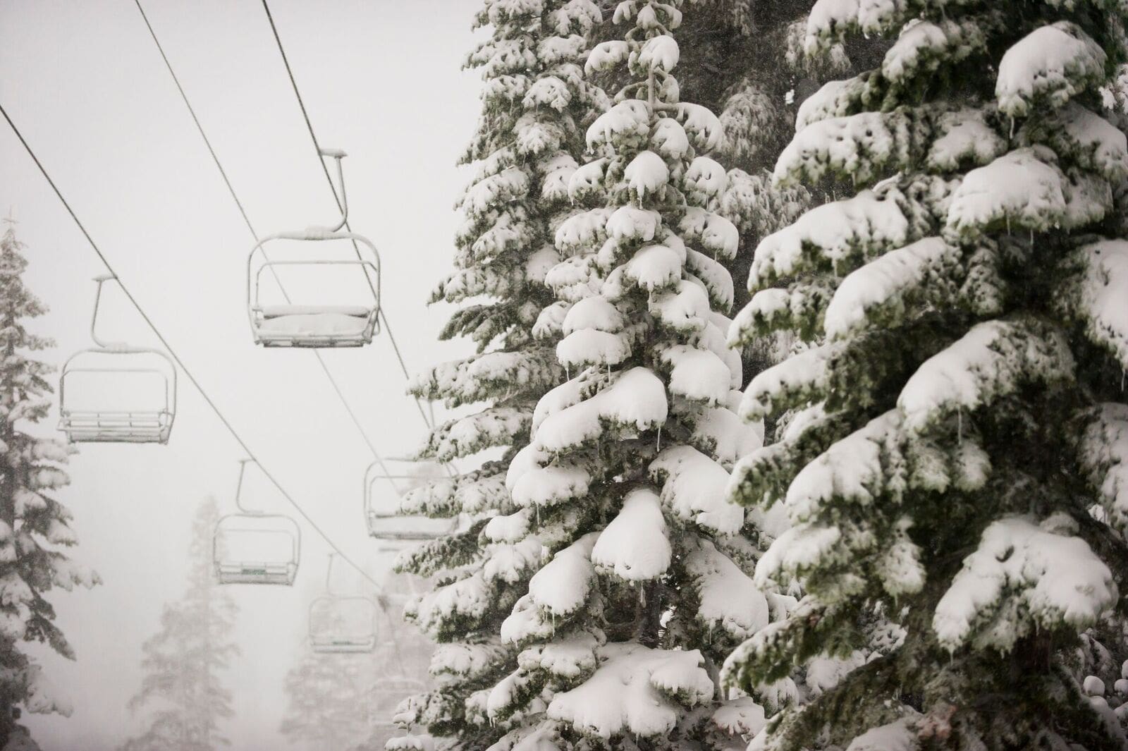 Squaw Valley, alpine meadows, california,