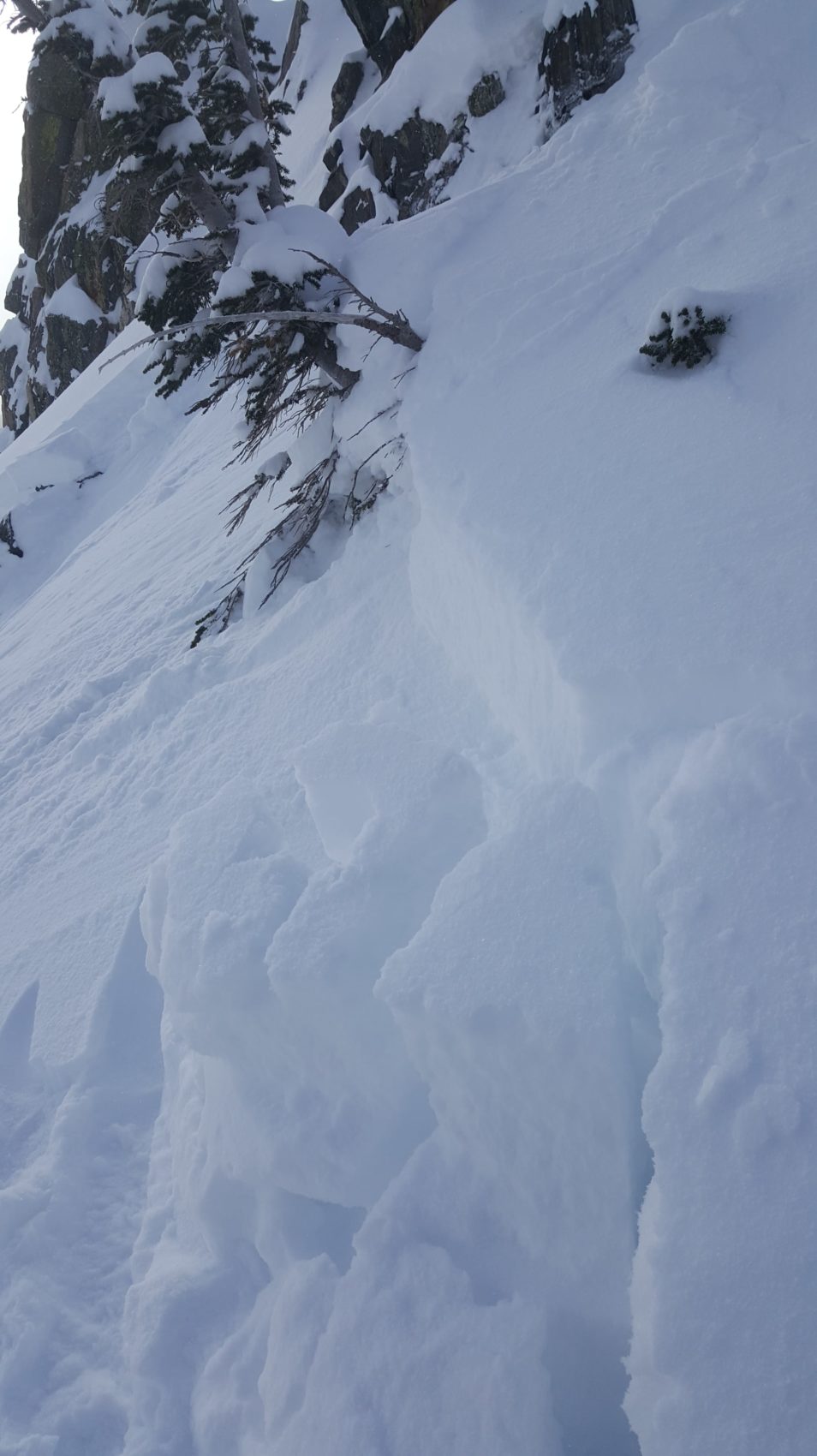 avalanche, Wyoming, Jackson Hole,