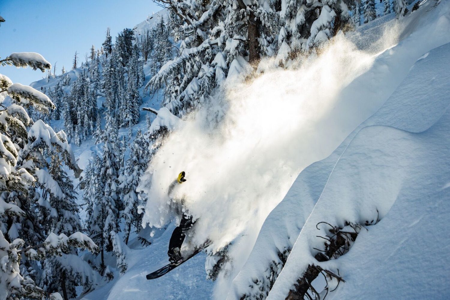 Mammoth Mountain, CA Has the Deepest Snowpack in the Country SnowBrains