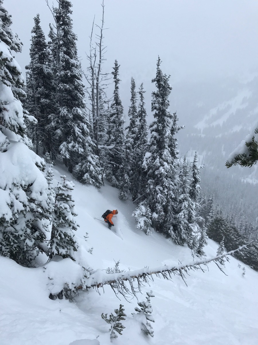 VIDEO: One Perfect Powder Run @ Crystal Mountain, WA Today! - SnowBrains