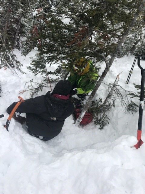 avalanche, canada, 