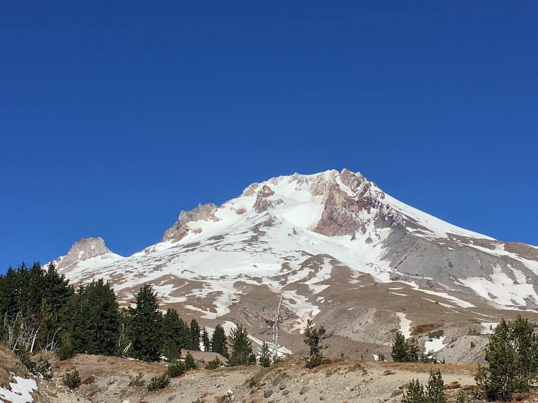 Palmer glacier in the summer