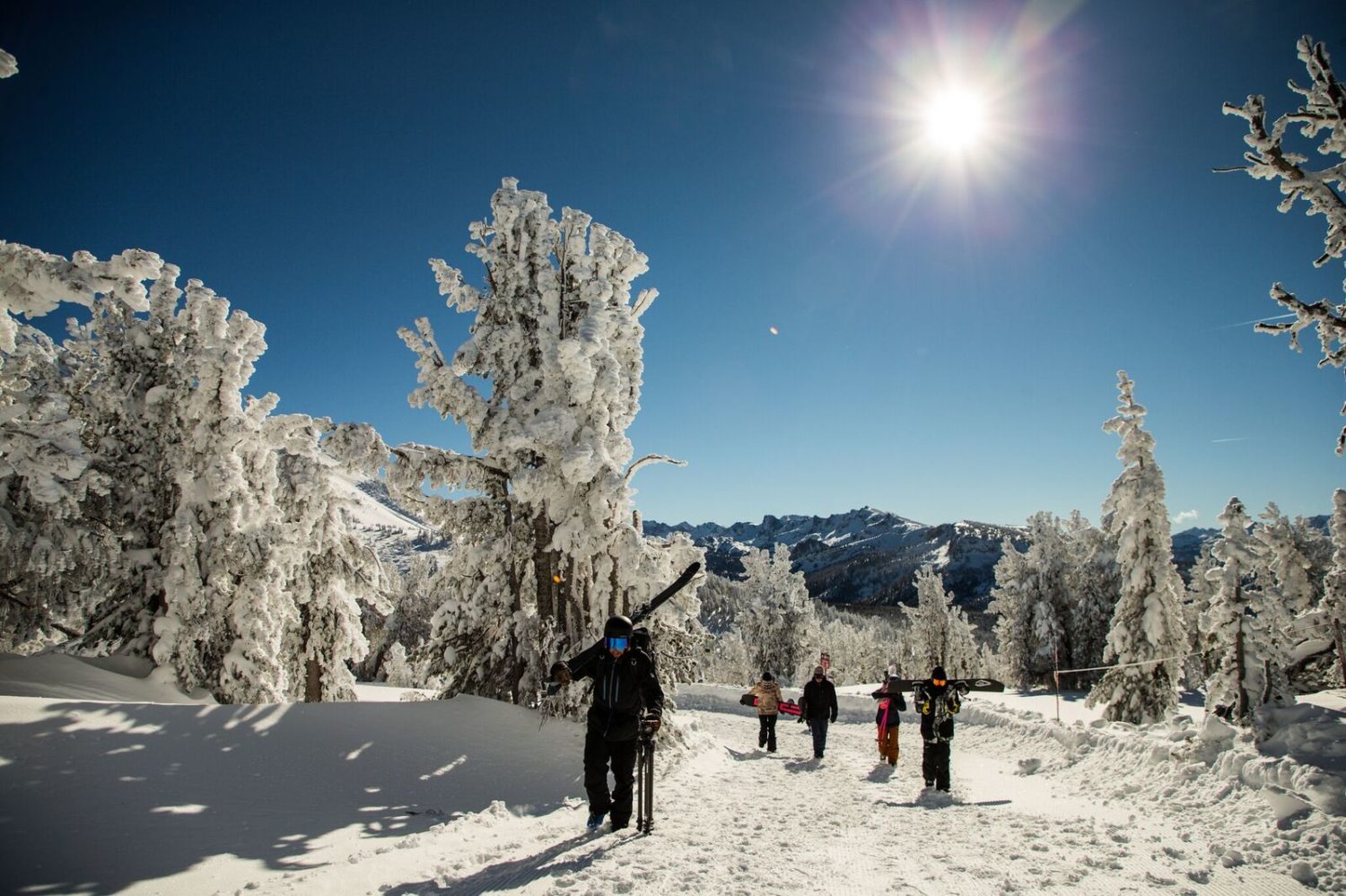 mammoth, california