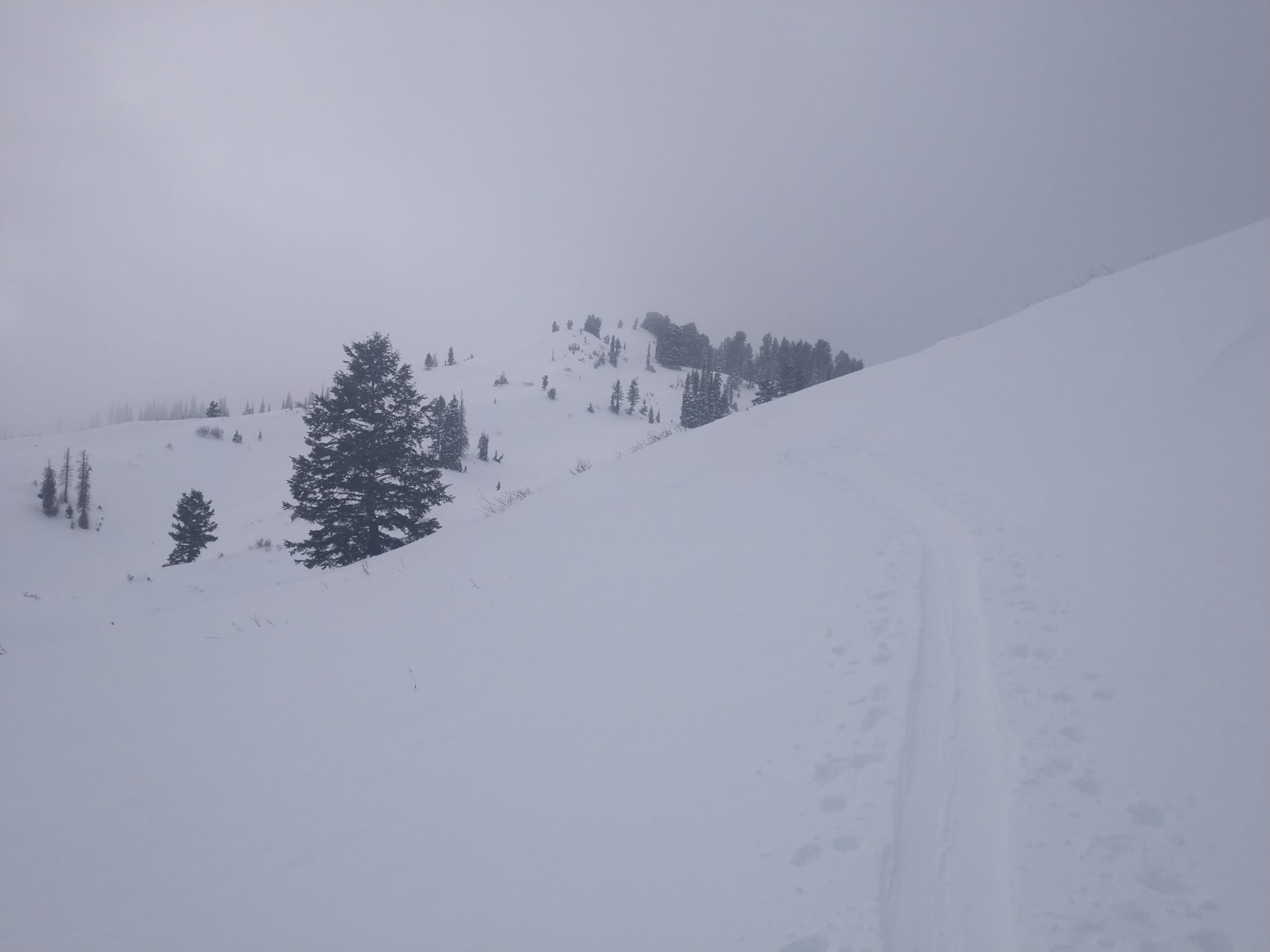 skinner_milky_clouds_skin track_utah_wasatch_backcountry - SnowBrains