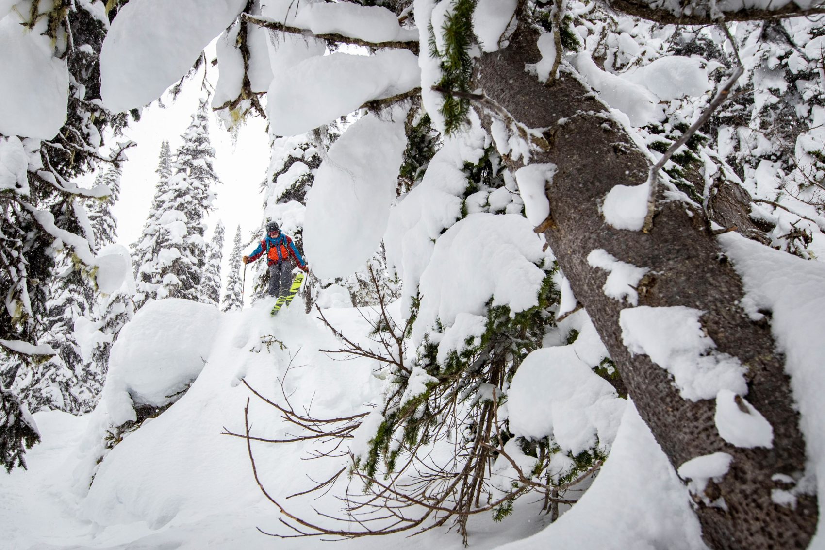 Skier jumping off knob revelstoke