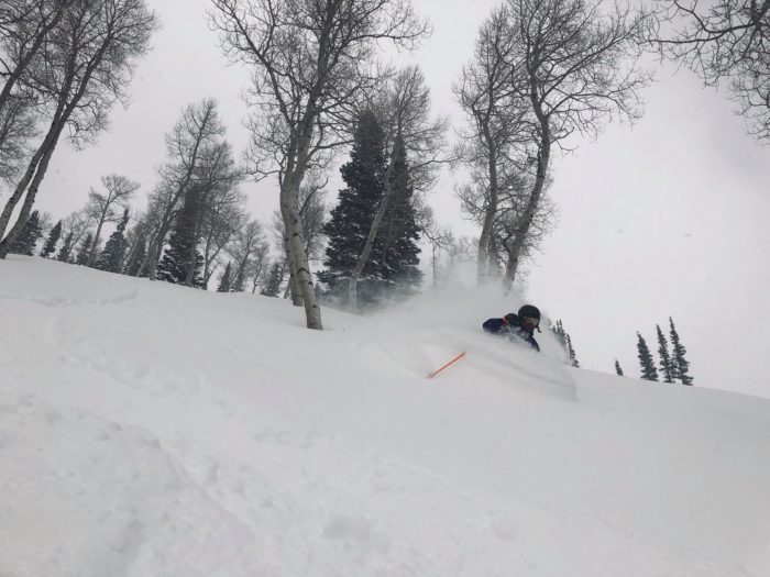 utah ski resort snow totals