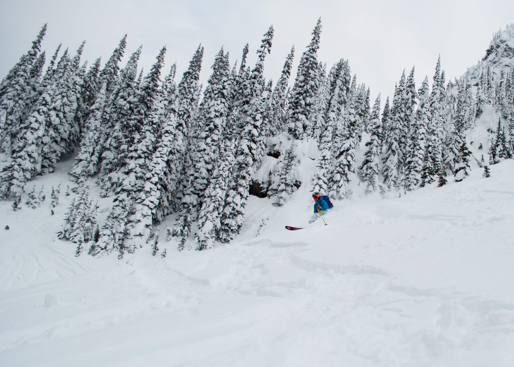 skier in montana valley