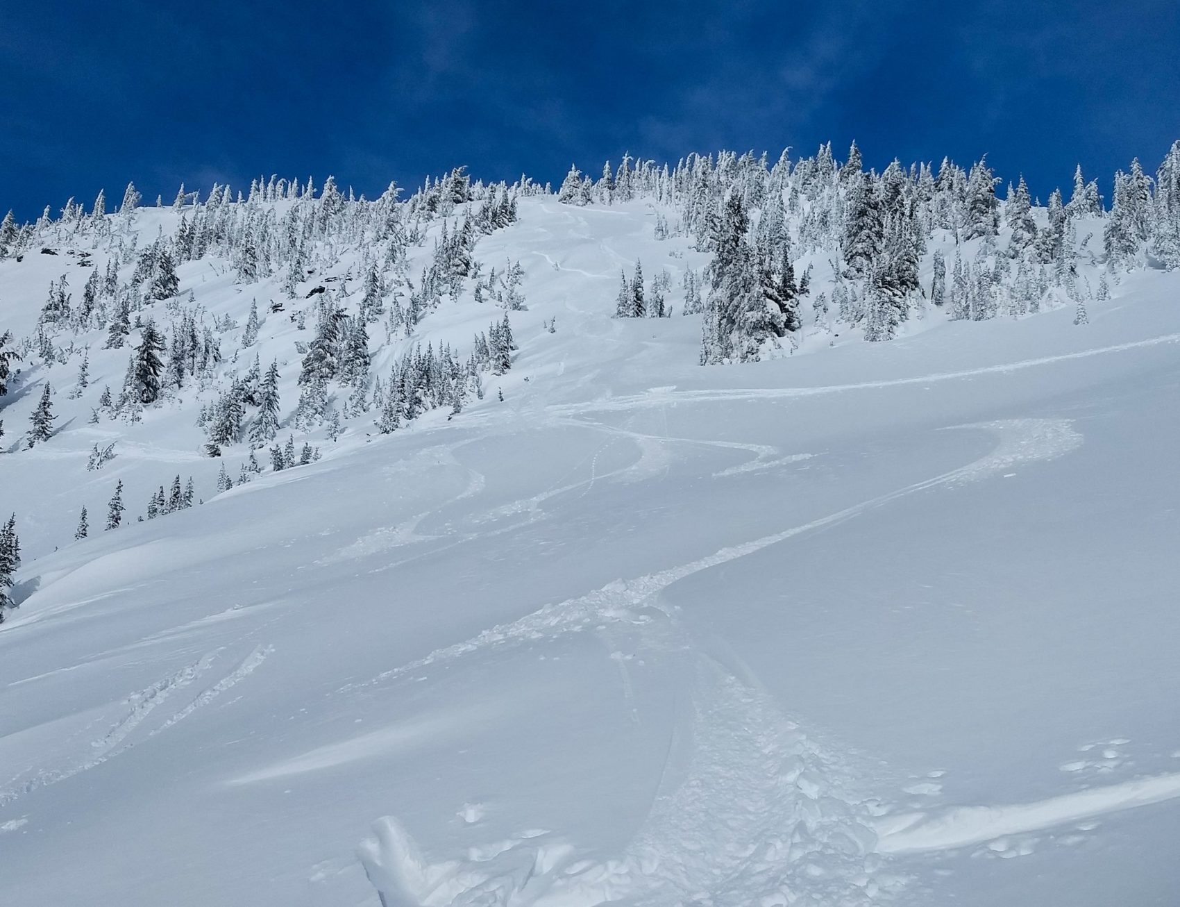 south face of goat peak