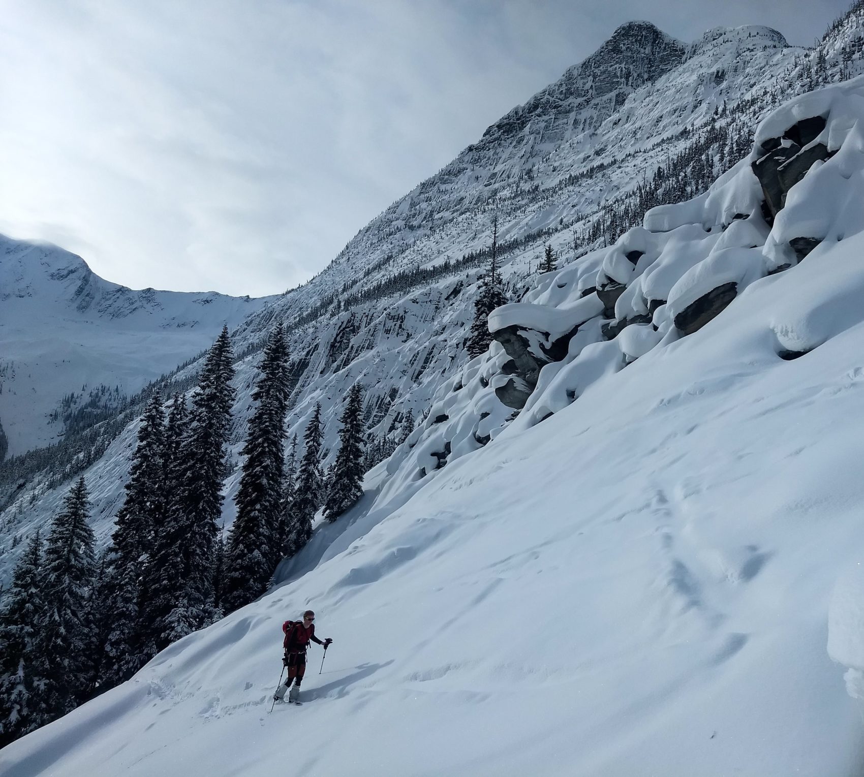 splitboarder touring rogers pass