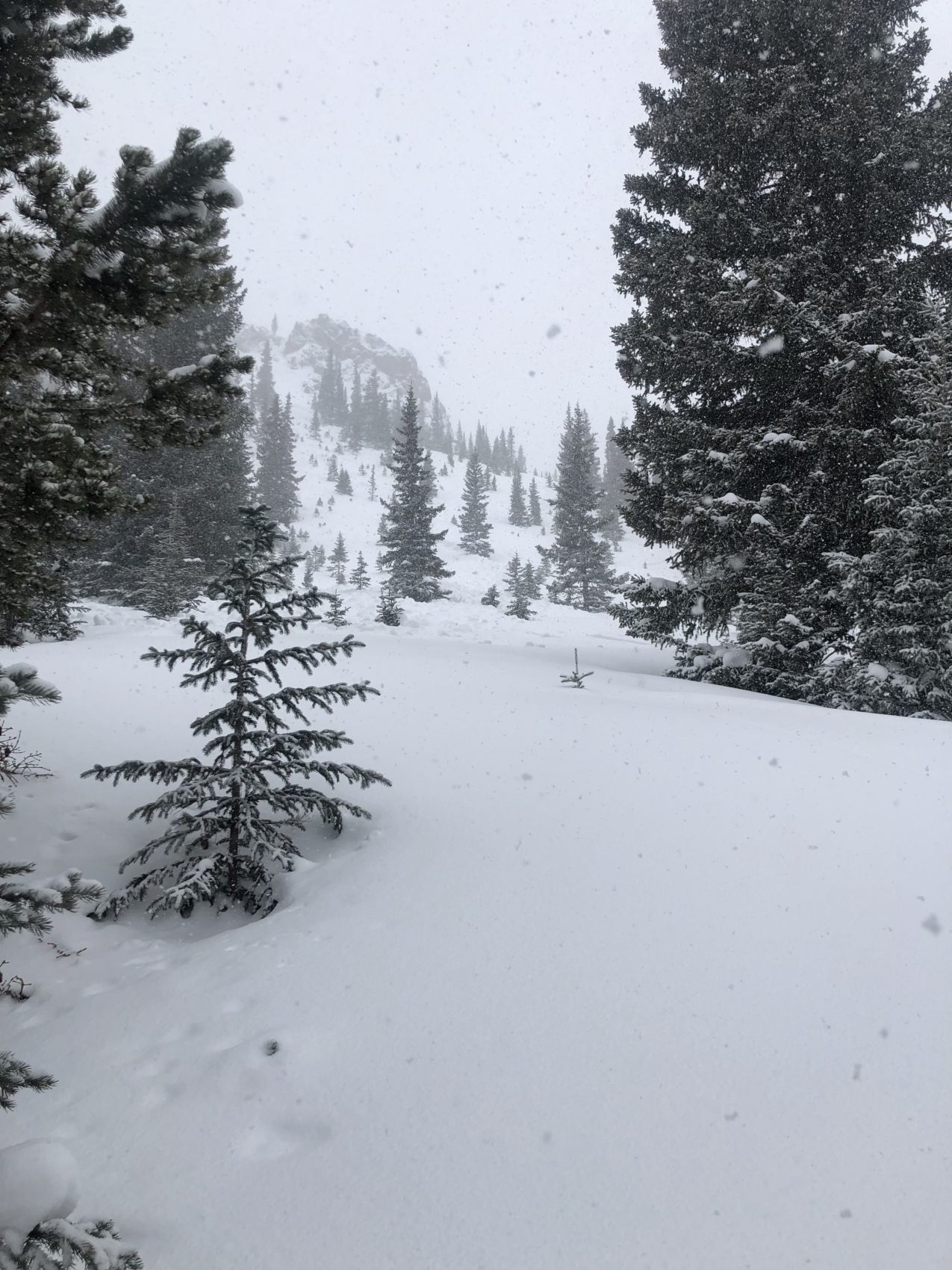 aspen, colorado, avalanche