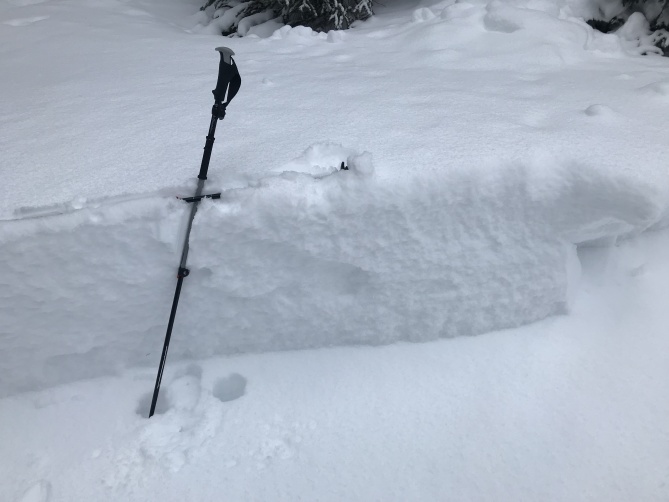 aspen, colorado, avalanche