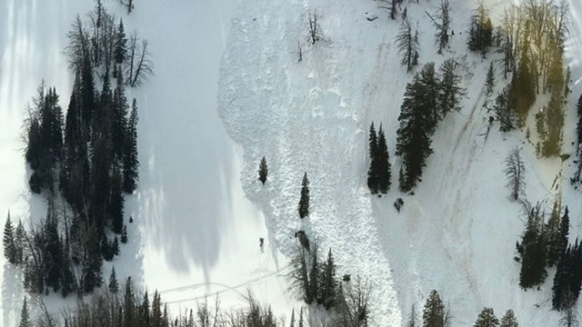 avalanche, Wyoming, snowmobiler